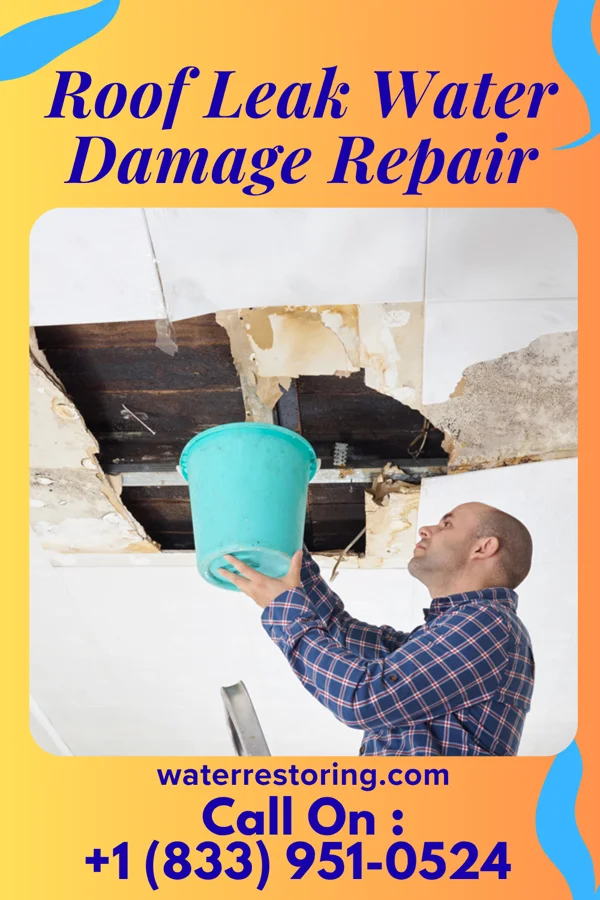Roof Leak Water Damage Repair in Olive, OK