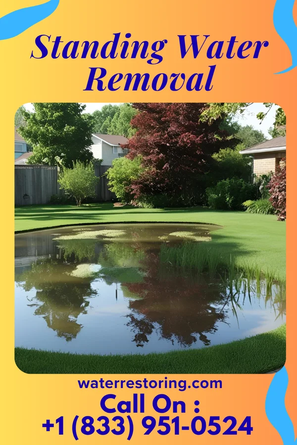 Standing Water Removal in Olive, OK